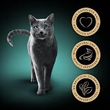 Sheba Select Slices in Gravy Fish Collection Wet Cat Food 12 x 85g view 3