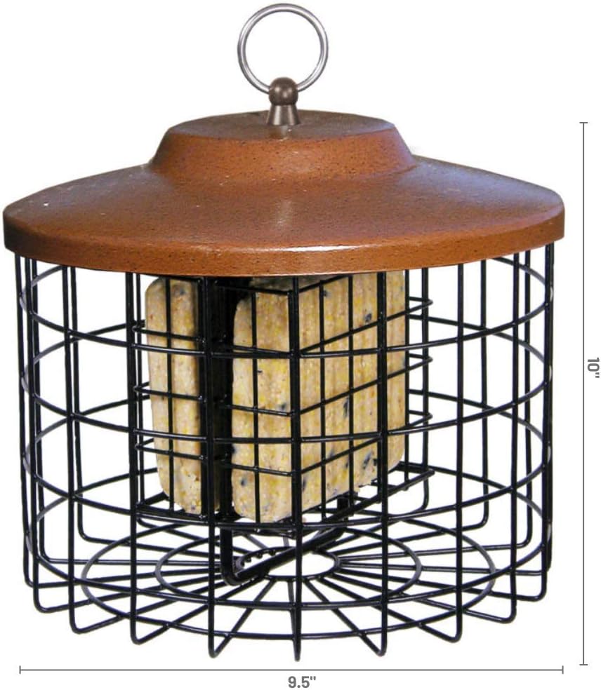 Squirrel-X Squirrel Proof Double Suet Feeder, Cage Bird Feeder, 2 Suet Cake Capacity : Suet Bird Feeders : Garden & Outdoor