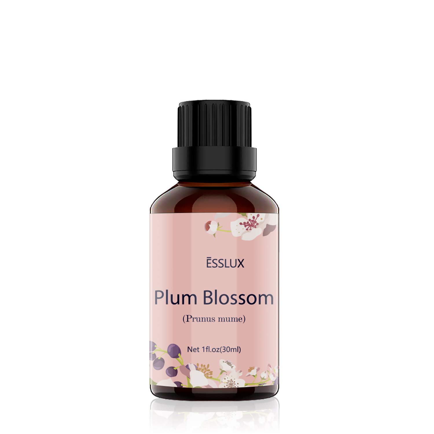 Which Is The Best Plum Blossom Fragrance Oil