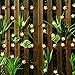 SKYFIRE Led Flower Fairy Lights，22ft 50 Led Blossom Solar Fairy Lights Solar Flower String Lights for Outdoor,Garden, Patio(Warm White)