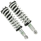Front Pair Complete Strut Assembly for 1996-2002