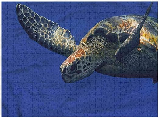 3d turtle puzzle
