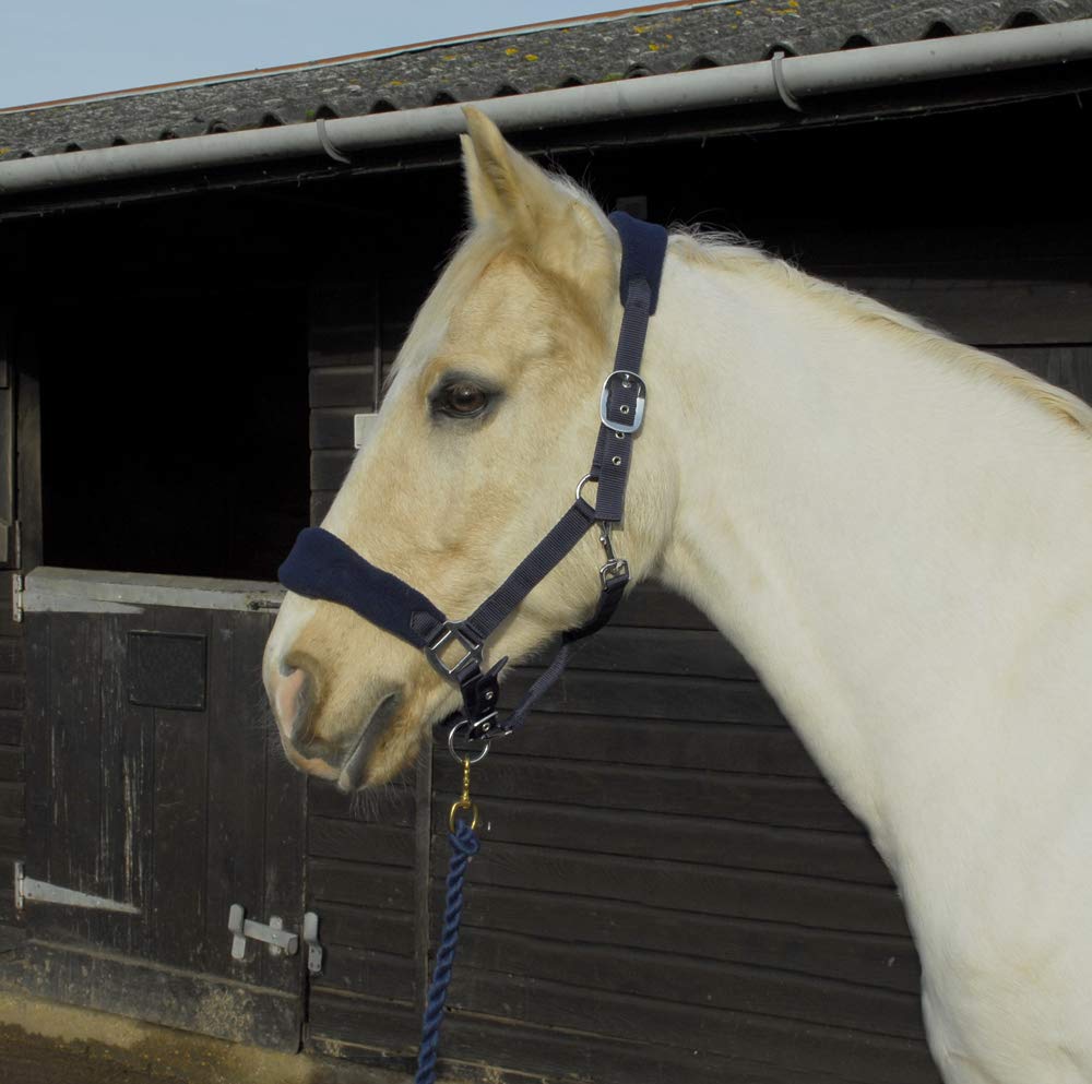 Rhinegold COMFORT HORSE HEADCOLLAR AND ROPE SET - Full Size, Navy Colour - Soft Padded Headpiece, Adjustable Fit - Available in Pony, Cob, Full Sizes - Red, Navy, Royal Blue or Black