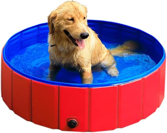 puppy pool with slide