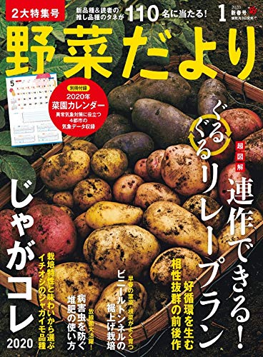 野菜だより 1月号 本 通販 Amazon