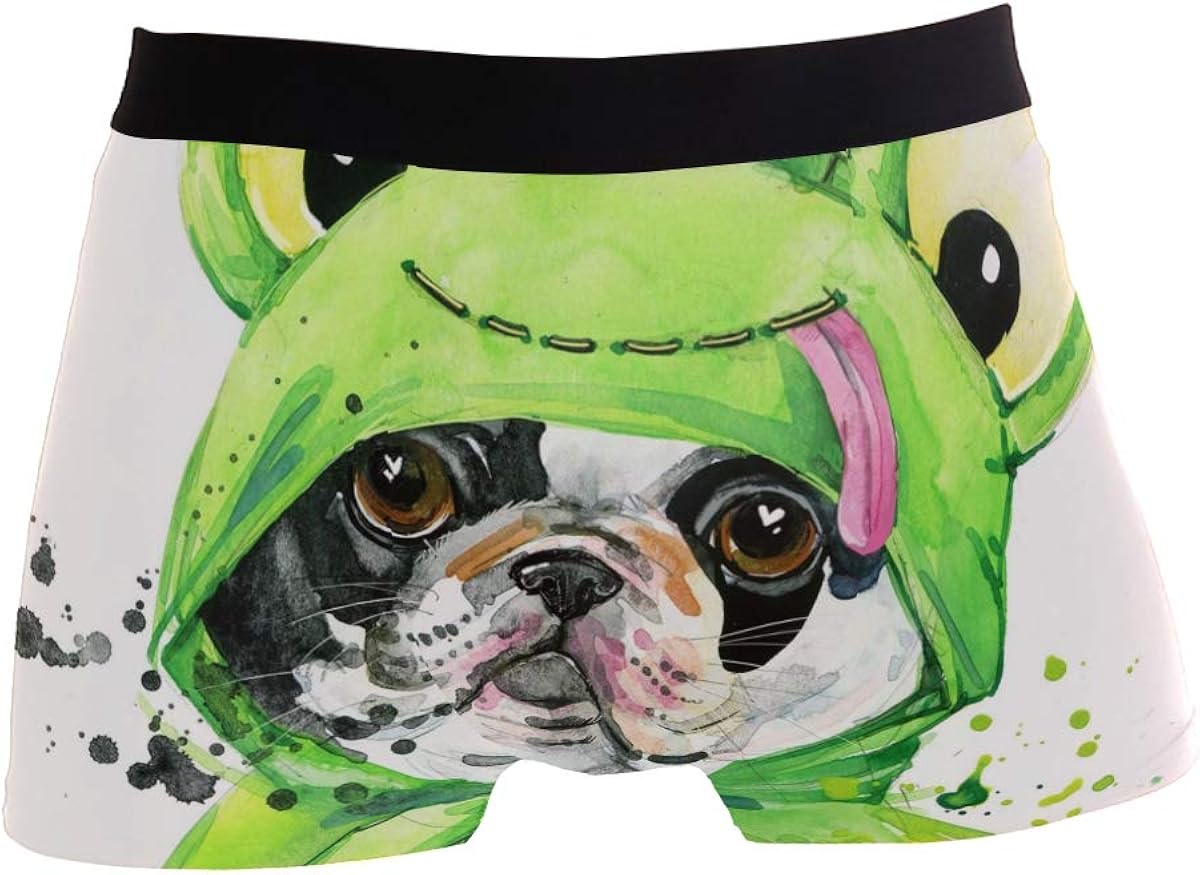 On Sale Suabo Men Boxer Briefs Polyester Underwear Men 2 Pack Boxer Briefs For Valentines Day With French Bulldog New Style Www Flexiforce Com