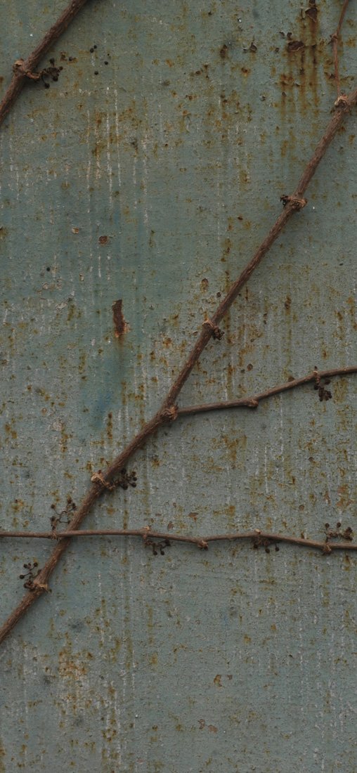 PeelitStickit Extreme Rusted Metal Pattern, Wallpaper Design, Wall Mural ID-012, vinyl