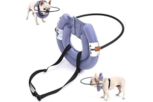 BECROWM Blind Dog Harness, Lightweight Collar for Dogs&Cats, Adjustable Guiding Device Protects Pets from Collision, Builds Confidence, Blind Dog Accessories, Ring for Blind Dogs, Purple (Small)