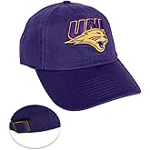 Desert Cactus University of Northern Iowa Baseball Hat UNI Panthers Brimmed Embroidered Hats Cap Adjustable Cloth Strap Adult (Style B) Red