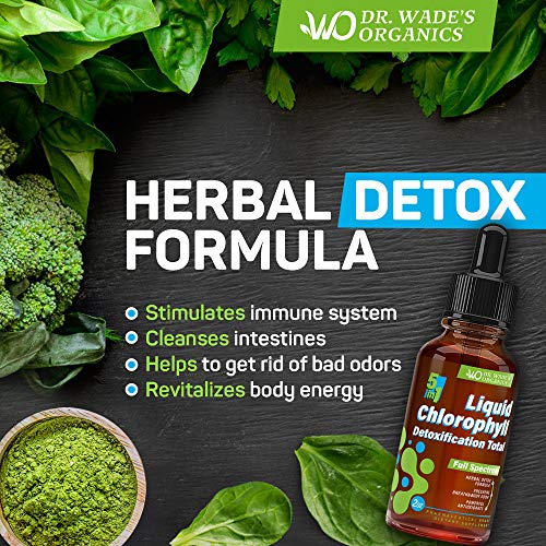 Liquid Chlorophyll for Total Detox MAX Absorption Pure Vegan