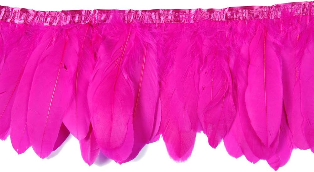Goose Feather,Hgshow Beautiful Feathers Fringe Trim quantity Size 72-Inch