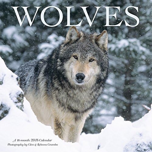 Wyman Publishing, 2019 Wolves Wall Calendar Calendar – Wall Calendar