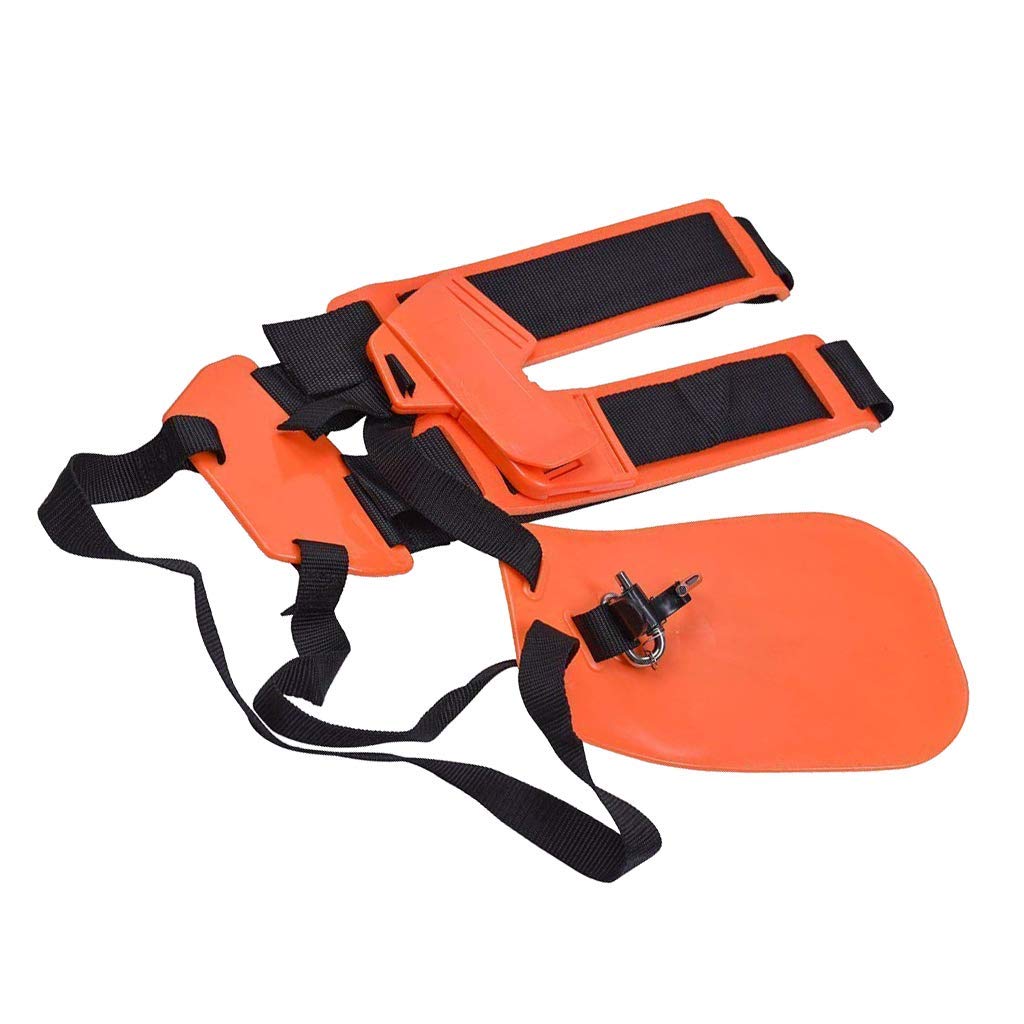 View 4