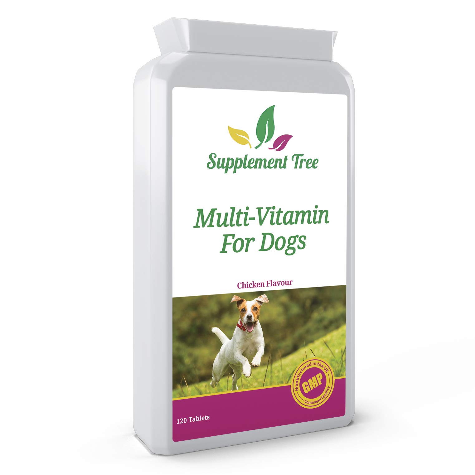 Daily Multivitamins for Dogs 120 Chewable Chicken Flavour Tablets | 24 Essential Vitamins & Minerals | Support Healthy Heart Brain Hips Joints Bones Teeth Skin & Coat | For Young or Senior Pets