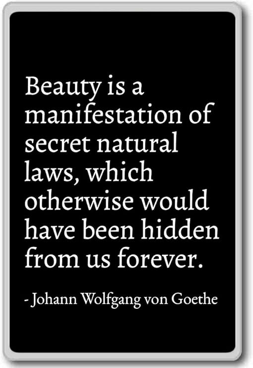 Download Johann von goethe quotes For iPhone Free