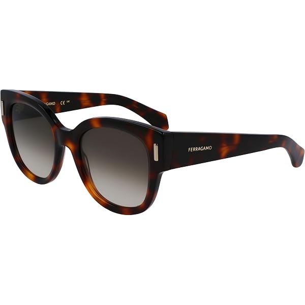 Amazon.com: FERRAGAMO Sunglasses SF 1105 S 240 Tortoise  display picture 2