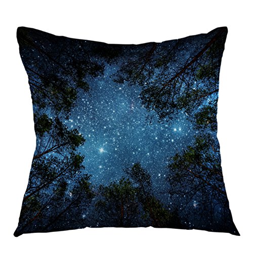 oFloral Night Sky Pillow Case with Milky Way Pillow Cover Square Cushion Cover for Sofa Couch Home Car Bedroom Living Room Decorative 18" x 18" Blue Black