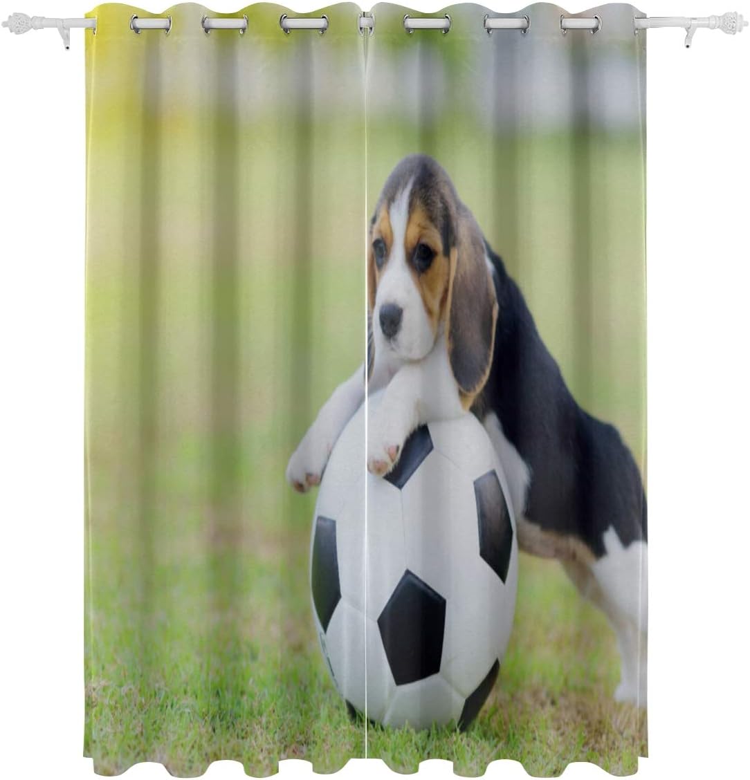 puppy with soccer ball