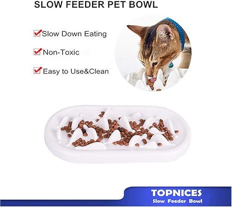 cat collar food bowl
