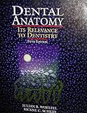 Image de Dental Anatomy: Its Relevance to Dentistry