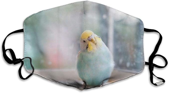 Amazon Co Jp Onlinyメンズ レディース マスク ことりカフェ セキセイインコ 通勤 通学 四季適用 花粉症予防 風邪適用 可愛い 超立体 おしゃれ デザイン 男女兼用 ドラッグストア