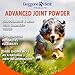 Glucosamine for Dogs – Powder – Advanced Hip & Joint Supplements – Chondroitin & MSM – Eases Your Dog’s Joint Pain and Repairs Damaged Cartilage – All Natural – Made in the USA