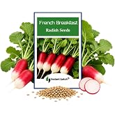 100 French Breakfast Radish Seeds | Non-GMO | Fresh Garden Seeds | NON GMO, Heirloom Seeds, Fresh Vegetable Garden Seed