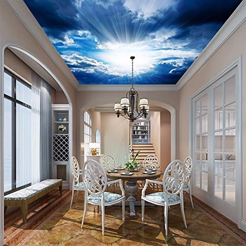 Amazon Com Axb Dmg 3d Suspended Ceiling Blue Sky White Clouds