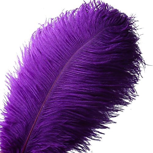 VoilaLove 10pcs Natural Ostrich Feather Craft 12-14inch(30-35cm) Plume for Wedding Centerpieces Home Decoration (12-14inch,Purple)