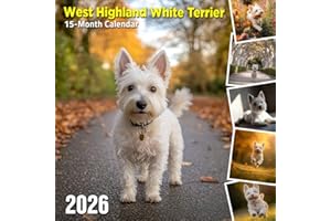 West Highland White Terrier 2026 Calendar: Bright and spunky little white terriers