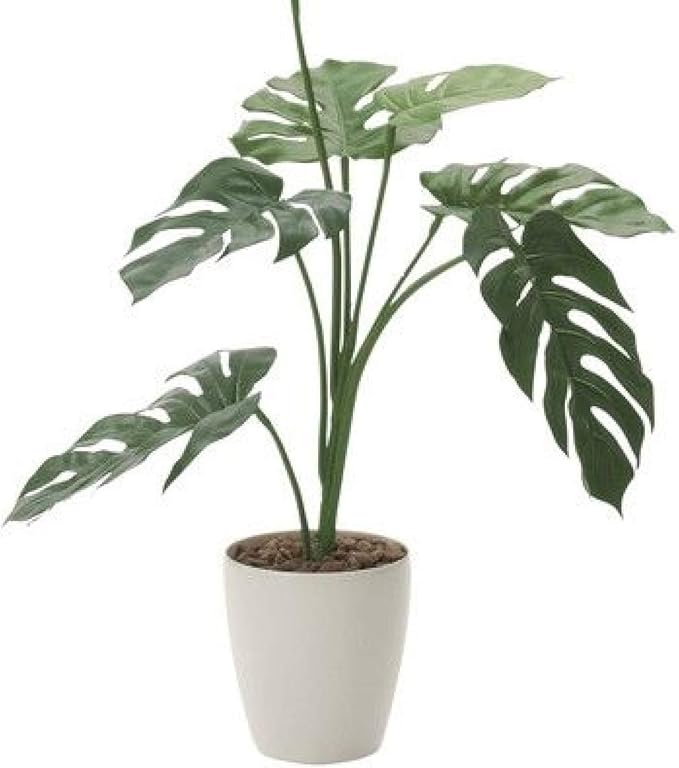 豪華 人工観葉植物 フェイクグリーン 観葉植物 造花 光触媒 モンステラヘゴポット ハワイアンパーテーション 180cm 鉢植 フェイク グリーン インテリア おしゃれ Ct触媒 お祝い ポイント10倍 Www Drranjeetagupta Com