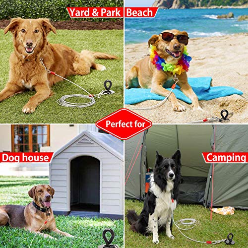 beach stake for dogs