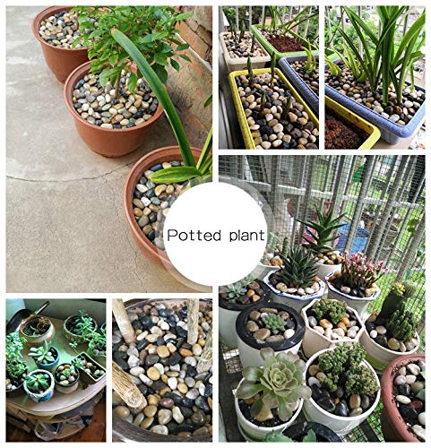 2 OUPENG+Aquarium+Gravel+River+Rock