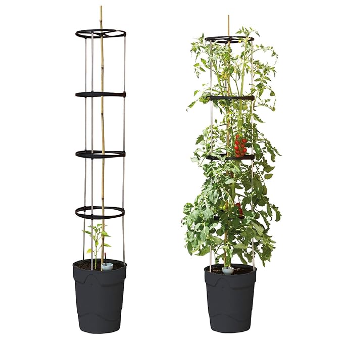 Beckmann Pflanzen-Aufzuchtturm Anthrazit 3er-Set