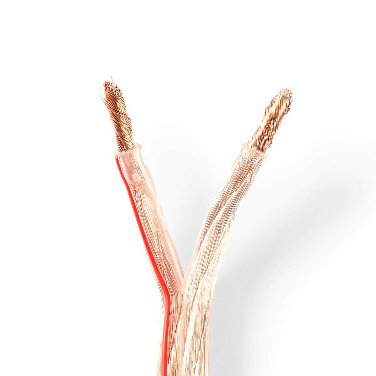 NEDIS 100m Speaker Cable 2 x 6mm² CCA, Wire Roll, Fig8 Round PVC Jacket, Transparent with Polarity | Home Cinema, HiFi & Car Audio