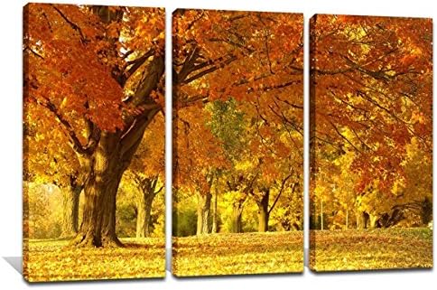 Noah Art-Modern Golden Trees Art Print, Forest Picture Autumn Wall Art on Canvas, 3 Piece Landscape Painting Photo Prints with Frame Home Decorations for Living Room, 14x28inchx3pcs