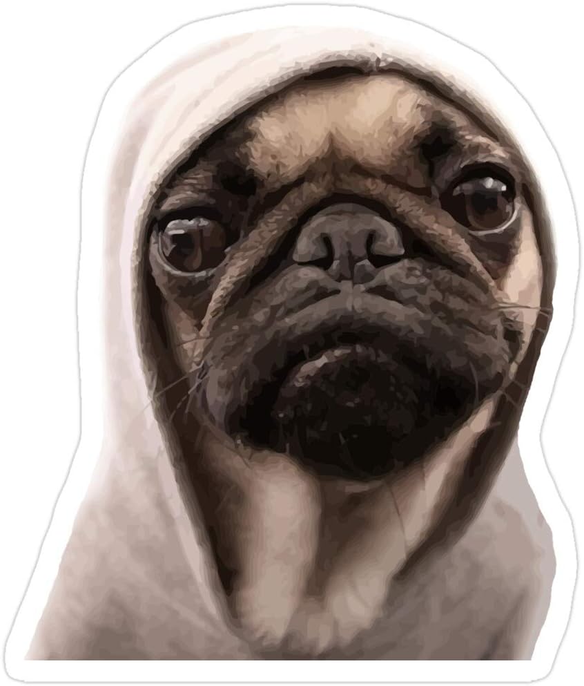 sensitive digestion cat food