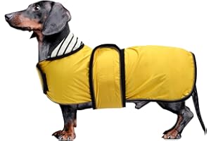 MOREZI Dachshund Raincoat Corgi Raincoat Dogs Waterproof fit for Dachshunds Weiner Long Back Breeds with Reflective Stripe Great Coverage in Autumn Winter - Yellow - S