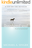The Untethered Soul: The Journey Beyond Yourself