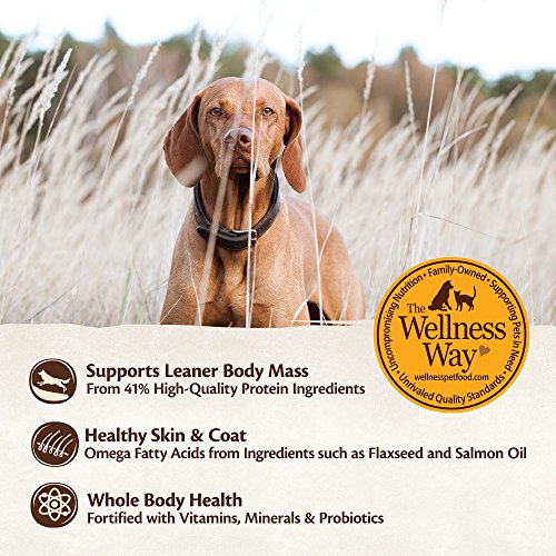 Wellness CORE Puppy Dog Food - Image 7