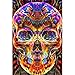 DIY 5D Diamond Painting by Number Kits, 3D Crystal Rhinestone Diamond Embroidery Paintings Pictures Arts Craft for Home Wall Decor (11.8 15.7 Inch, Colorful Skull)