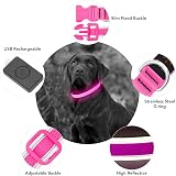 YFbrite Light Up Dog Collar Rechargeable LED Pink Large view 5