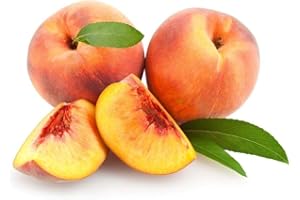 Nemaguard Peach Fruit Tree Seeds, 3 Seeds Per Packet, (Isla's Garden Seeds), Non GMO & Heirloom Seeds, Botanical Name: Prunus persica x P. davidiana