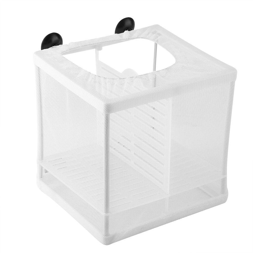 Rodipu Fish Breeding Box Fish Isolation Box with Suction Cups Fish Nursery for Aquarium Breeder Box Net Fry Hatchery Incubator for Fish Tank Baby Fishes Shrimp Clownfish and Guppy