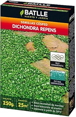 Semillas de Césped - Césped Dichondra Repens 250g - Batlle: Amazon ...