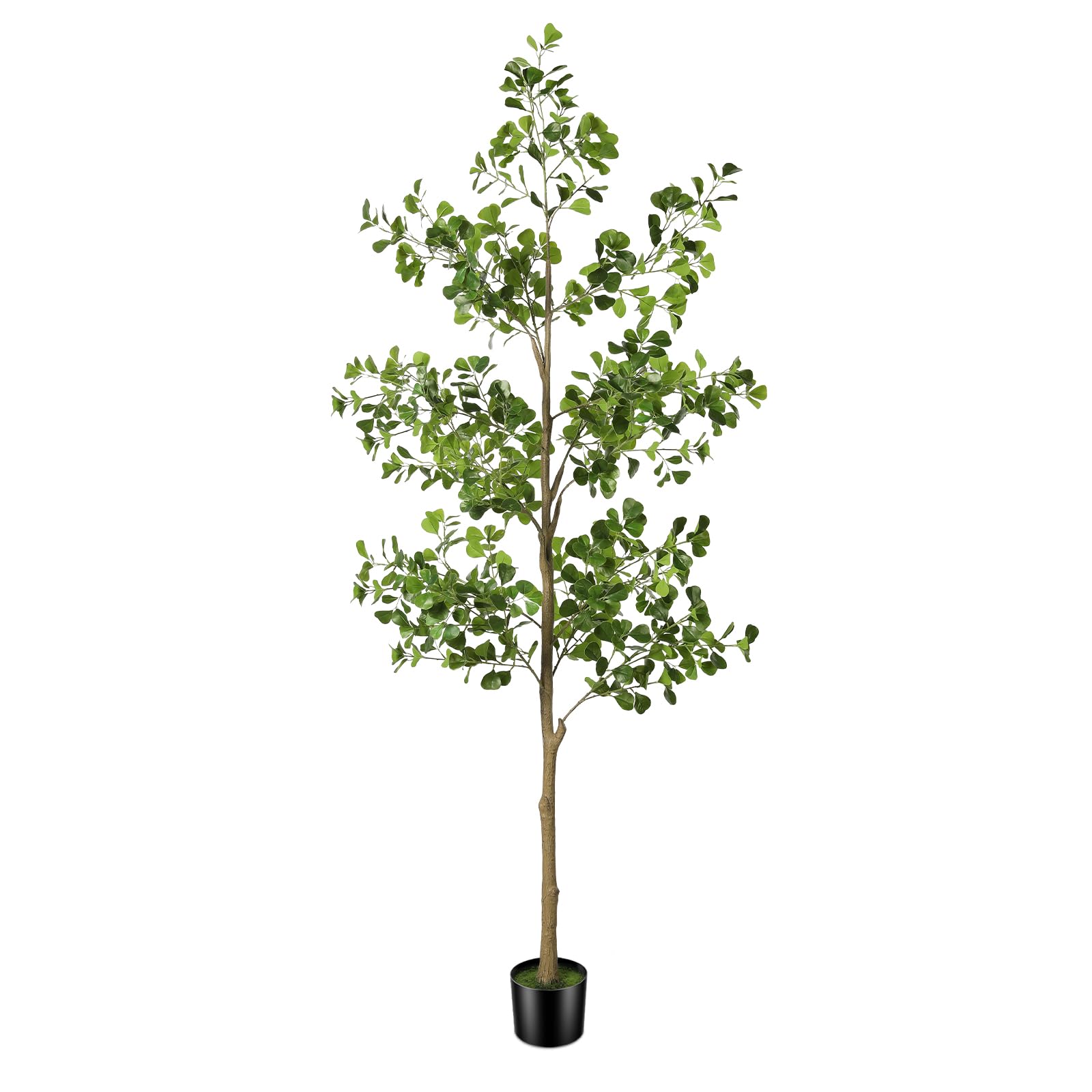 Photo 1 of PHYTREE Black Olive Tree, Artificial Olive Trees Indoor, Faux Olive Tree with Natural Trunk and Realistic Leaves, Artificial Fake Plants for Home Office Decor (5.5FT)