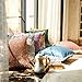 Kevin Textile Sequins Decorative Luxurious Home Party Square Pillow Case Cushion Cover, 18