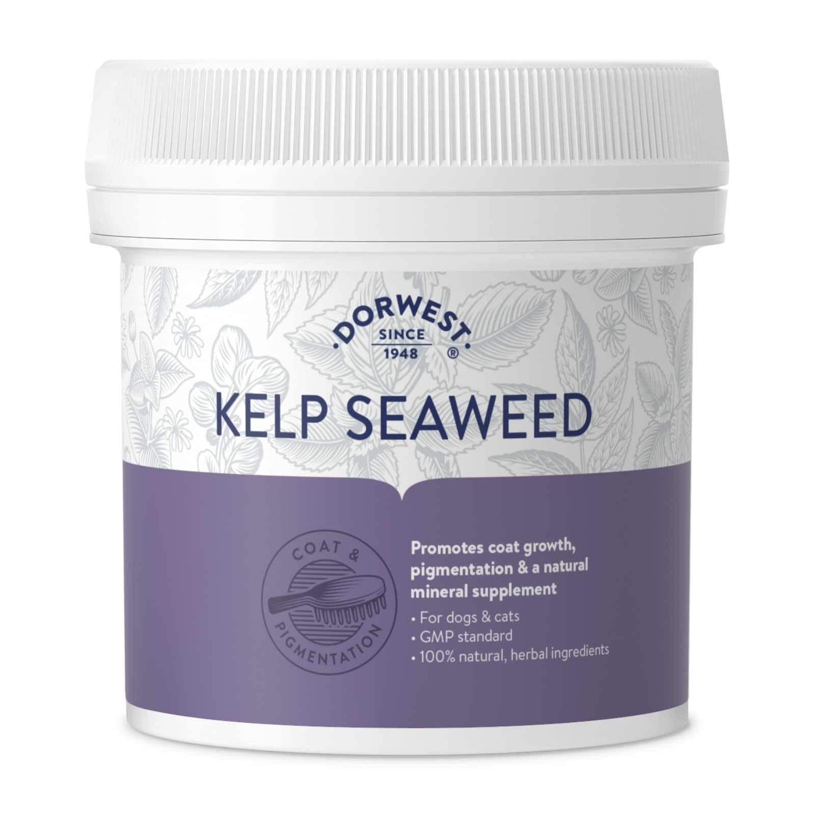DORWEST HERBS Kelp Seaweed Powder 500g, Natural Powder for Dogs and Cats – Natural Mineral Supplement for Coat Growth and Pigmentation, Brown, (14DOR044), 500 g (Pack of 1)
