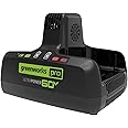 Greenworks Pro 60V 10A Dual Port Rapid Charger