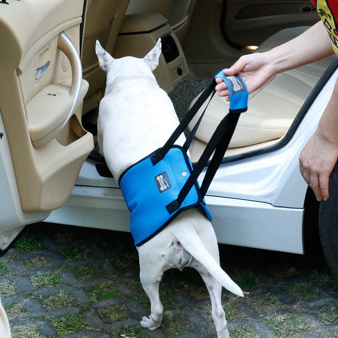 Rantow Dog Lift Support Harness Canine Aid Pet Sling Assist for Small